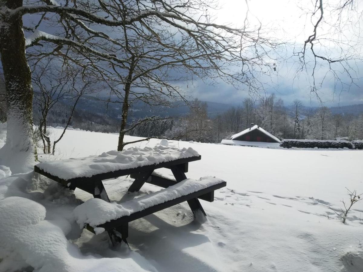 Chalet Individuel - Panoramique Montagnes & Proche Lac La Bresse Eksteriør bilde